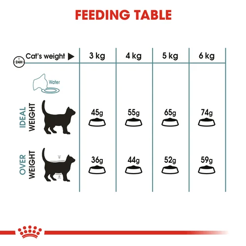 Royal Canin Cat Hairball Care Dry Food - Image 5