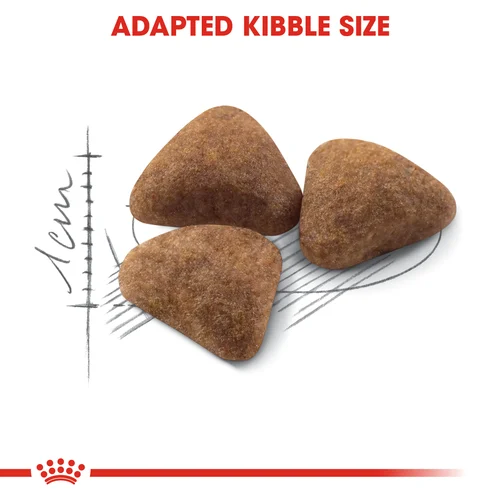 Royal Canin Cat Indoor Dry Food - Image 6