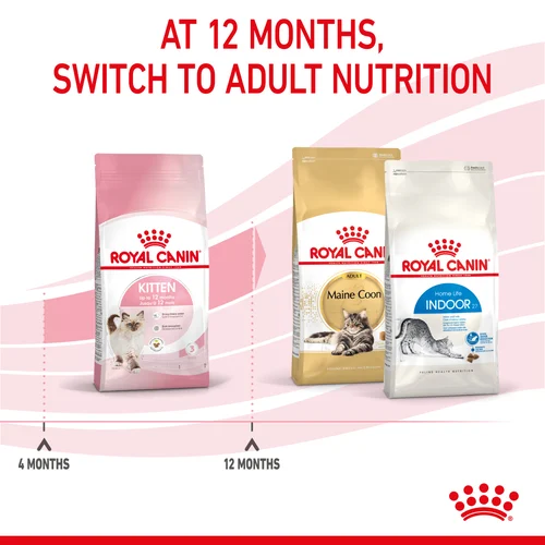 Royal Canin Kitten Dry Food - Image 4