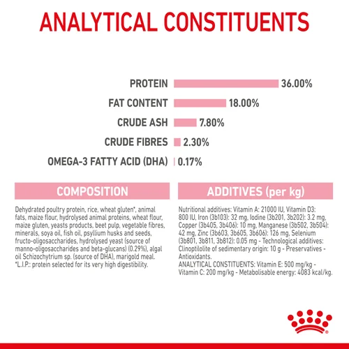 Royal Canin Kitten Dry Food - Image 6