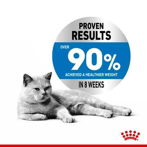 Royal Canin Cat Light Weight Care Dry Food - Image 3