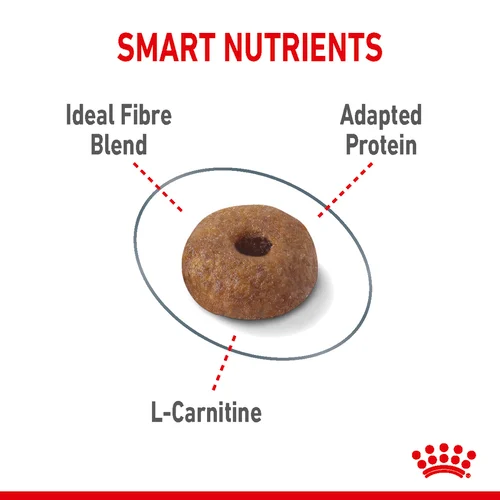 Royal Canin Cat Light Weight Care Dry Food - Image 6
