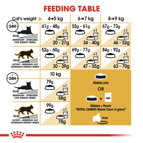 Royal Canin Cat Maine Coon Dry Food - Image 3