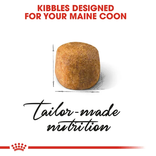 Royal Canin Cat Maine Coon Dry Food - Image 4