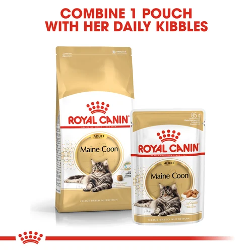 Royal Canin Cat Maine Coon Dry Food - Image 5