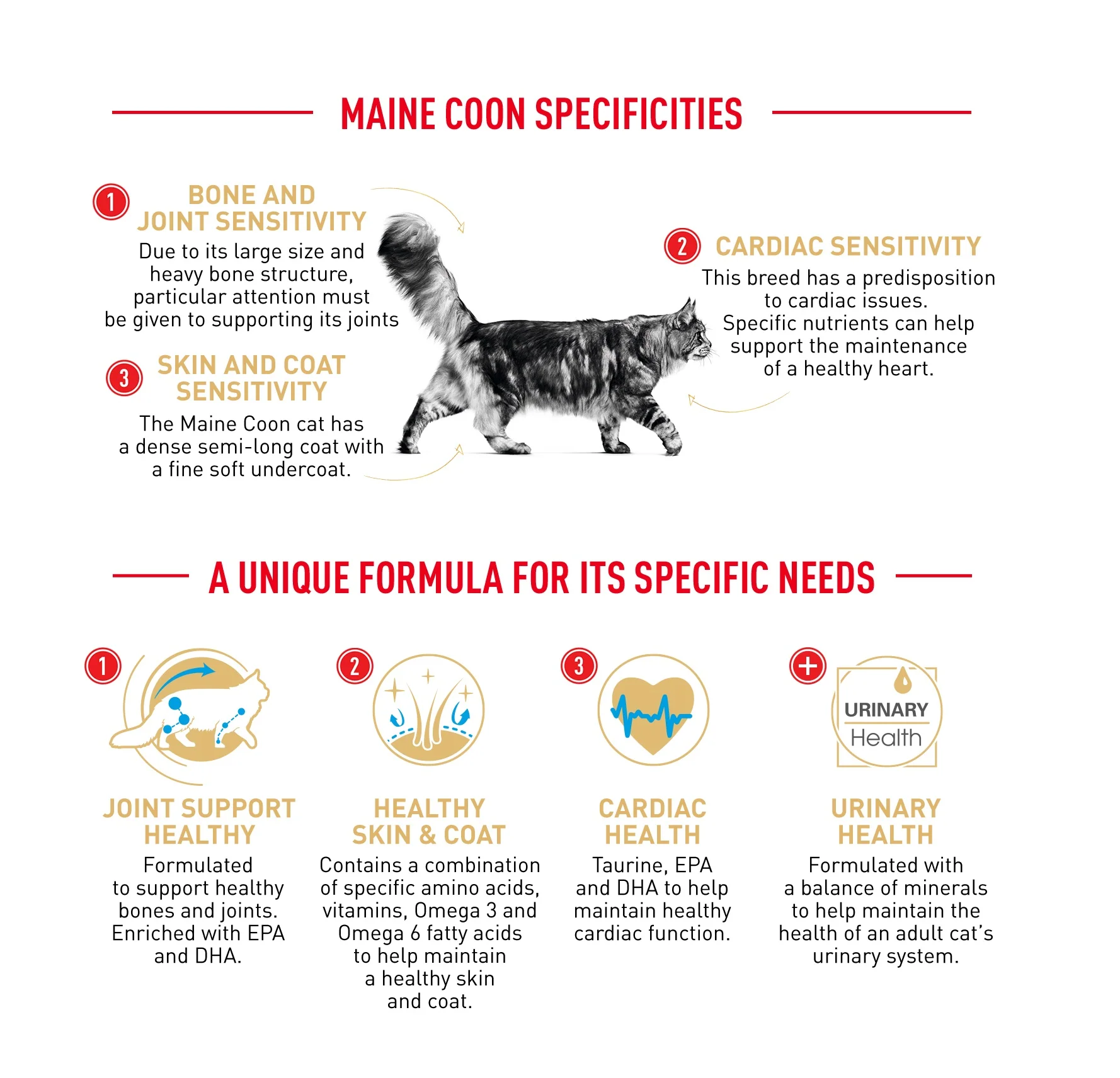 Royal Canin Cat Maine Coon Dry Food - Image 7