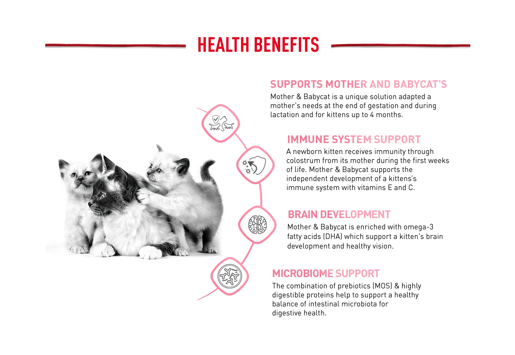 Royal Canin Cat Mother And Babycat Dry Food - Image 2