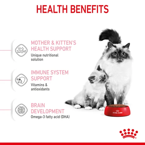 Royal Canin Cat Mother And Babycat Dry Food - Image 4