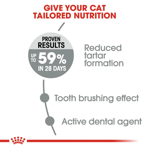 Royal Canin Cat Dental Care Dry Food - Image 2