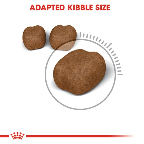 Royal Canin Cat Dental Care Dry Food - Image 5
