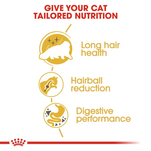 Royal Canin Cat Persian Dry Food - Image 2