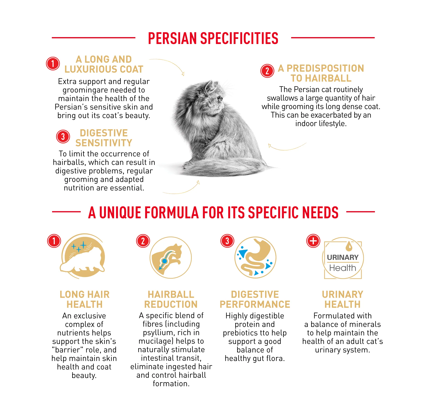 Royal Canin Cat Persian Dry Food - Image 3