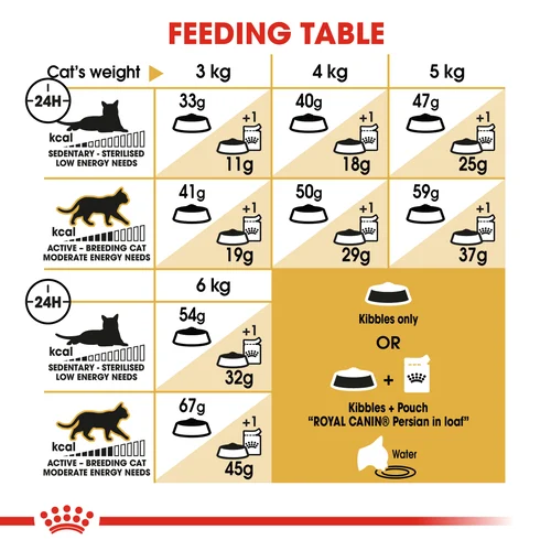Royal Canin Cat Persian Dry Food - Image 5