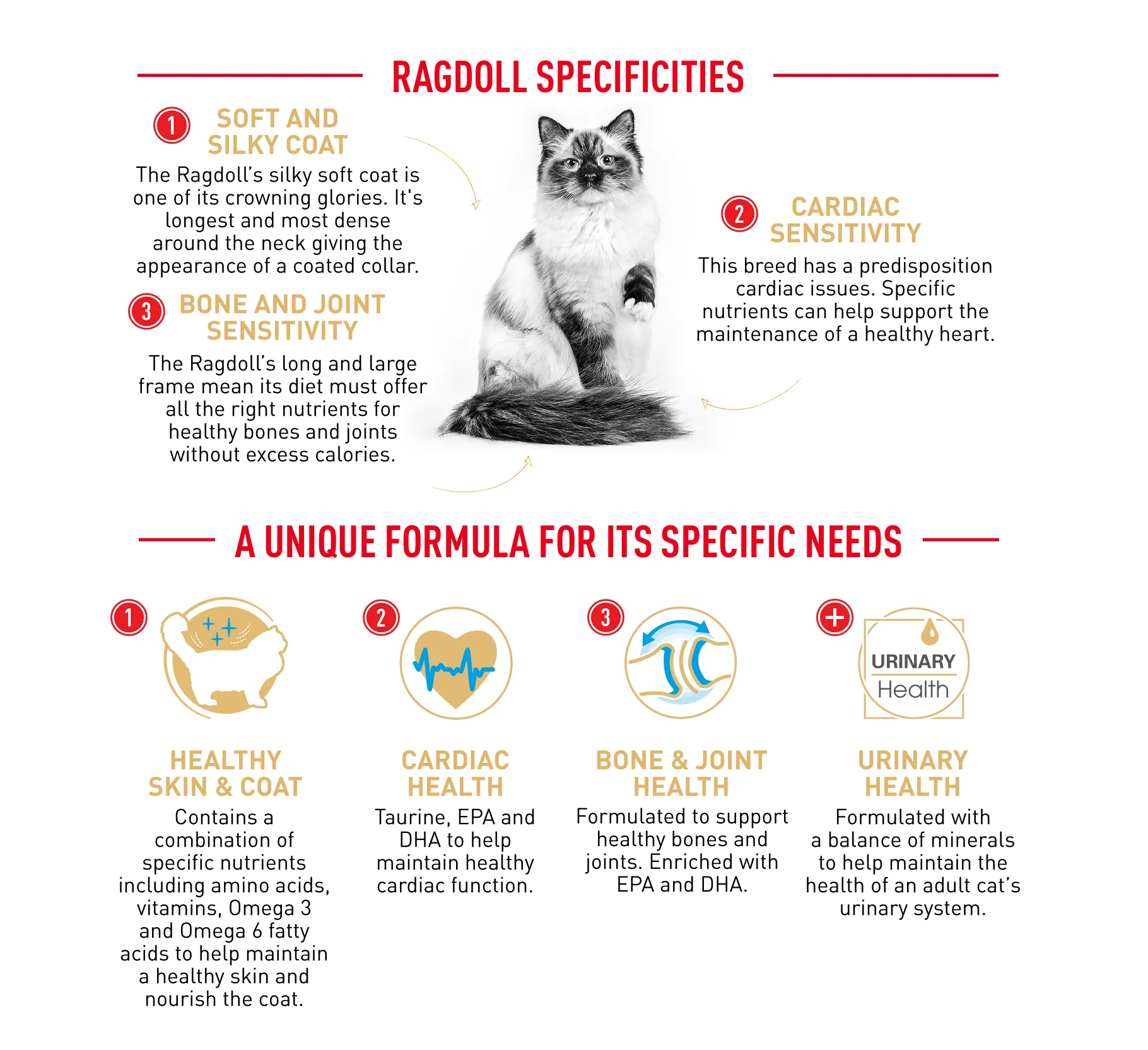 Royal Canin Cat Ragdoll Dry Food - Image 3