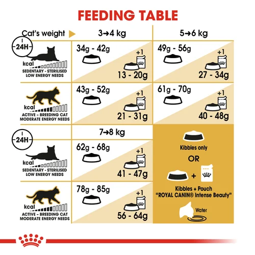 Royal Canin Cat Ragdoll Dry Food - Image 5