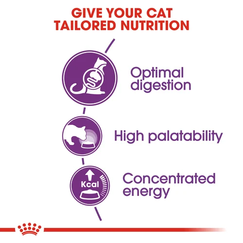 Royal Canin Cat Sensible Dry Food - Image 2
