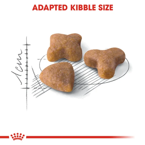 Royal Canin Cat Sensible Dry Food - Image 5