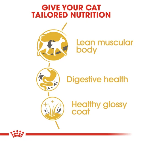 Royal Canin Cat Siamese Dry Food - Image 2