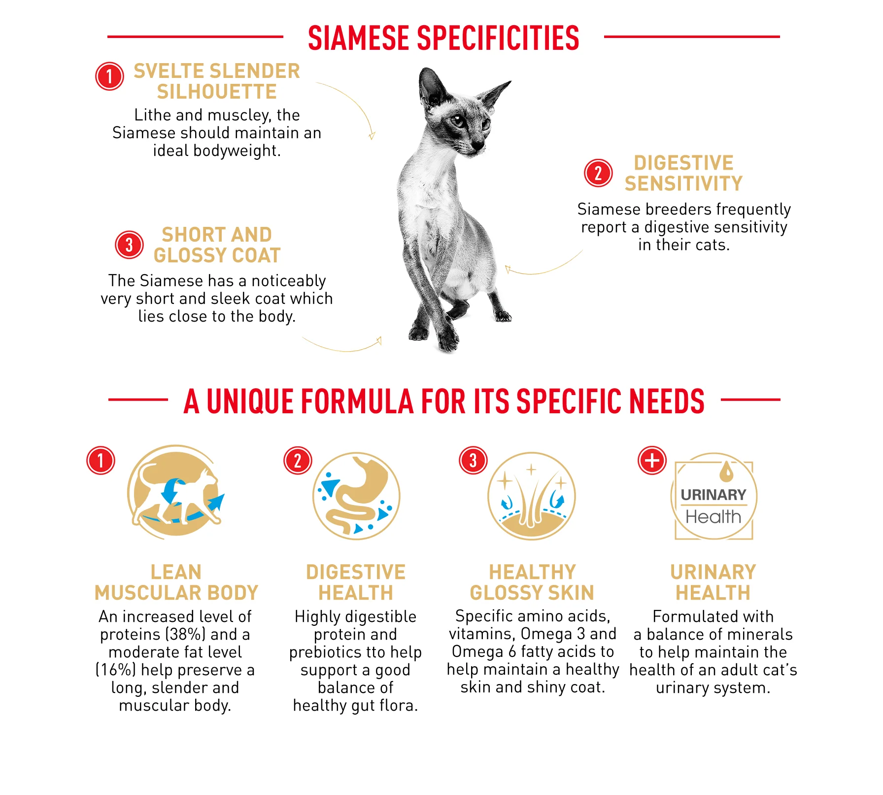 Royal Canin Cat Siamese Dry Food - Image 3