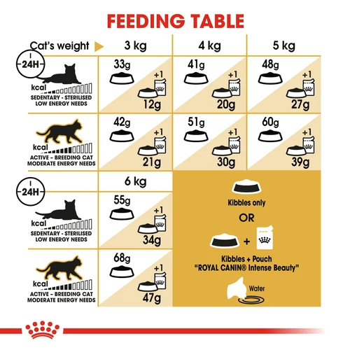 Royal Canin Cat Siamese Dry Food - Image 5