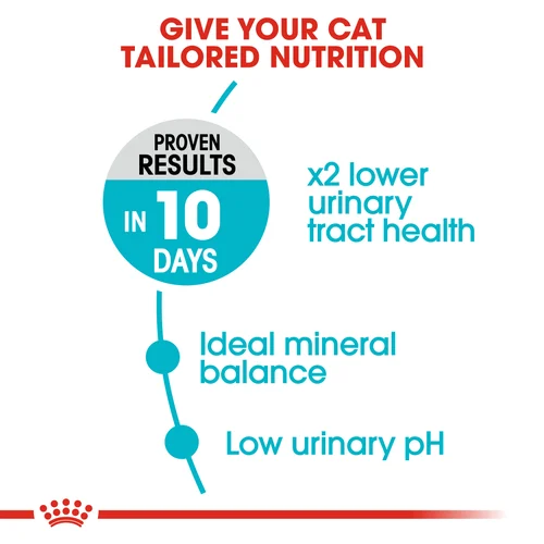 Royal Canin Cat Urinary Care Dry Food - Image 2