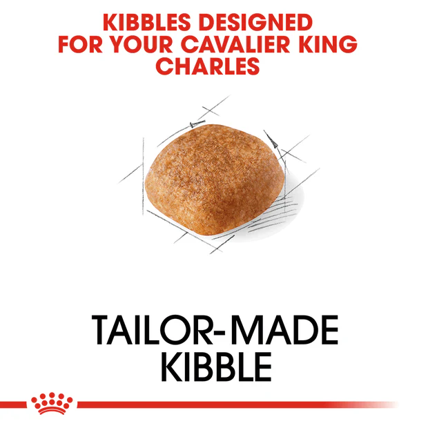 Royal Canin Cavalier King Charles Adult Dry Dog Food - Image 3