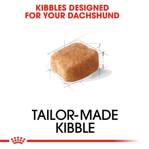 Royal Canin Dachshund Adult Dry Dog Food - Image 3