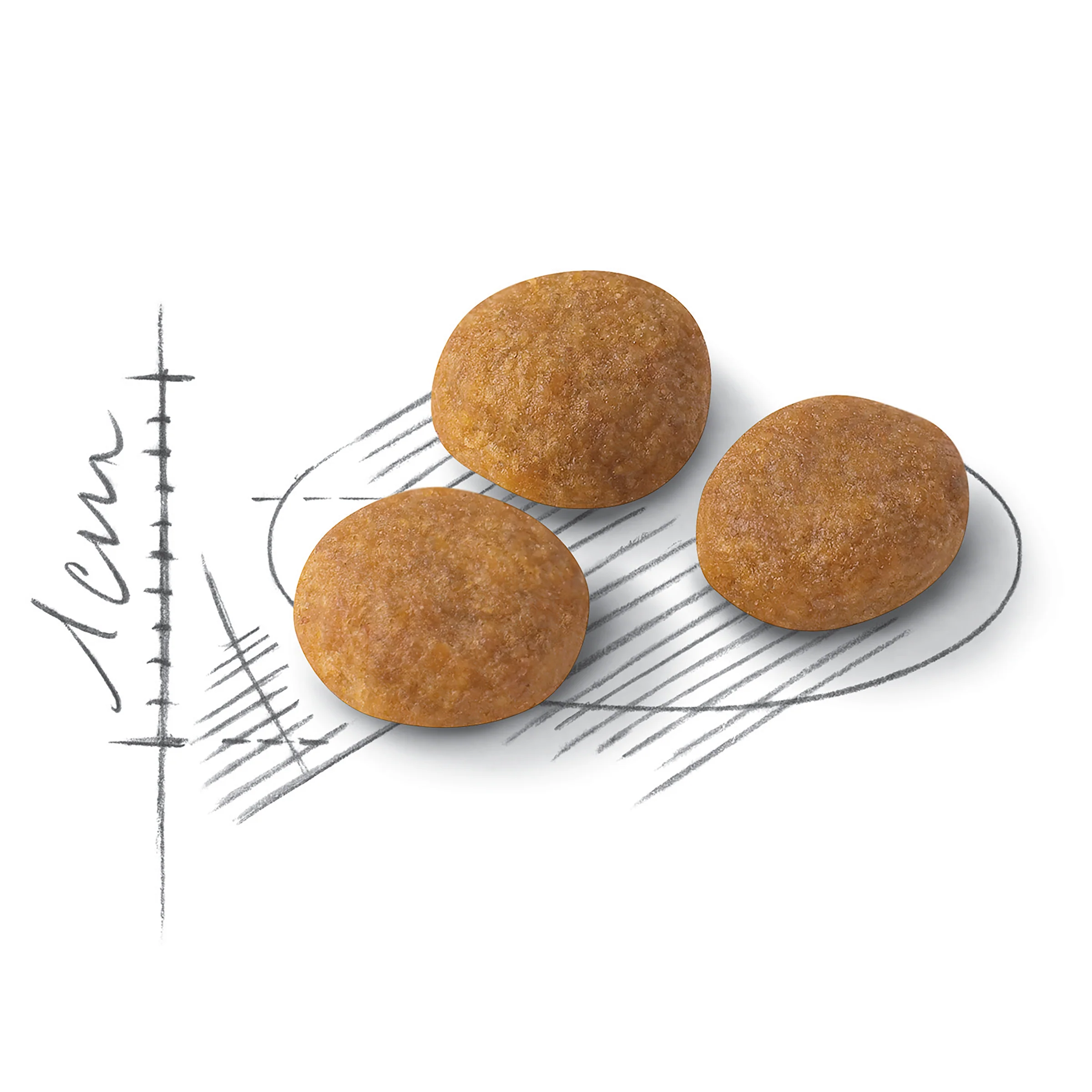 Royal Canin Exigent Aroma Sensation Dry Food - Image 2