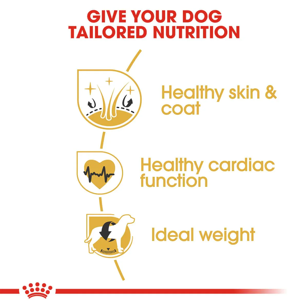 Royal Canin Golden Retriever Adult Dry Dog Food - Image 3