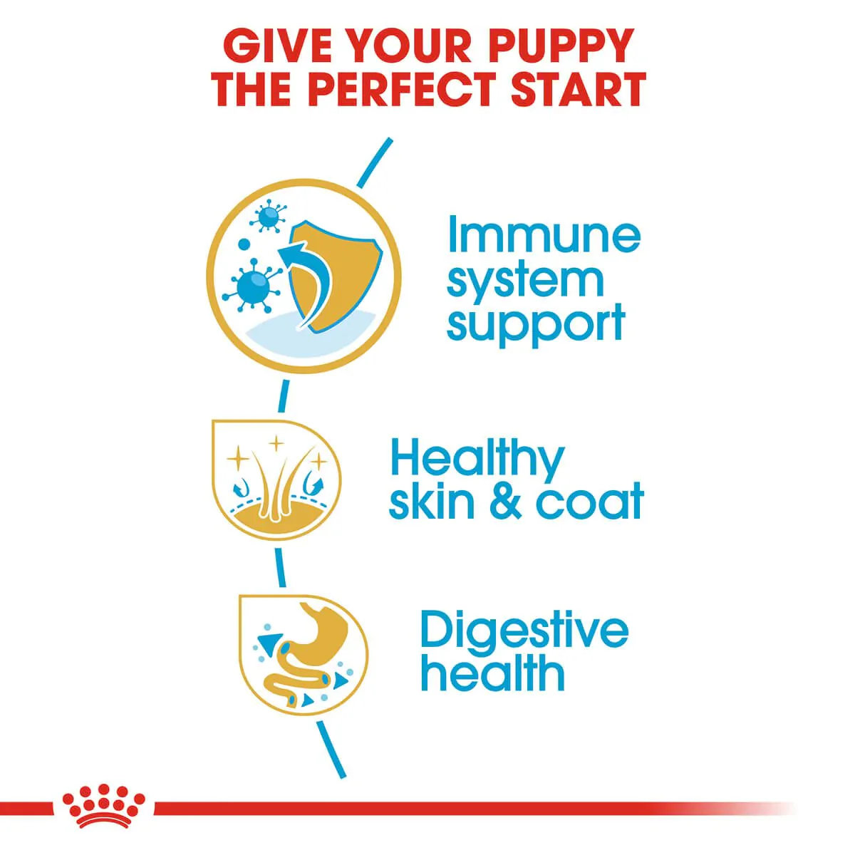 Royal Canin Golden Retriever Puppy Dry Dog Food - Image 4
