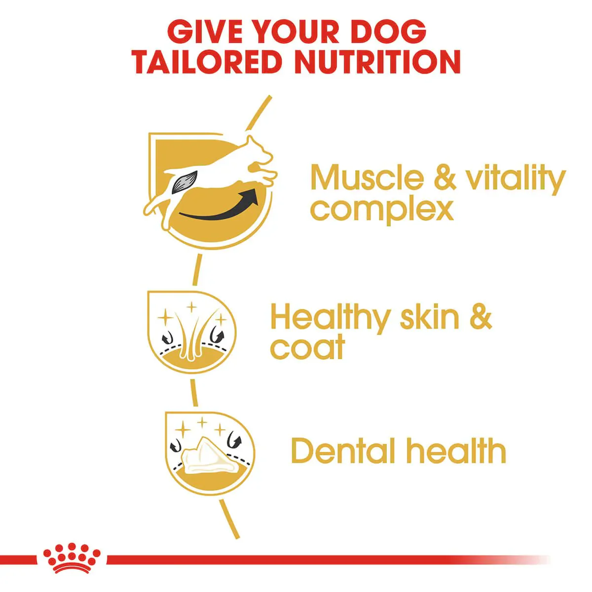Royal Canin Jack Russell Terrier Adult Dry Dog Food - Image 5