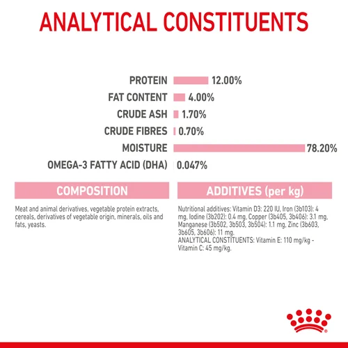 Royal Canin Kitten Chunks in Gravy Wet Cat Food - Image 2