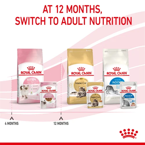 Royal Canin Kitten Chunks in Gravy Wet Cat Food - Image 5