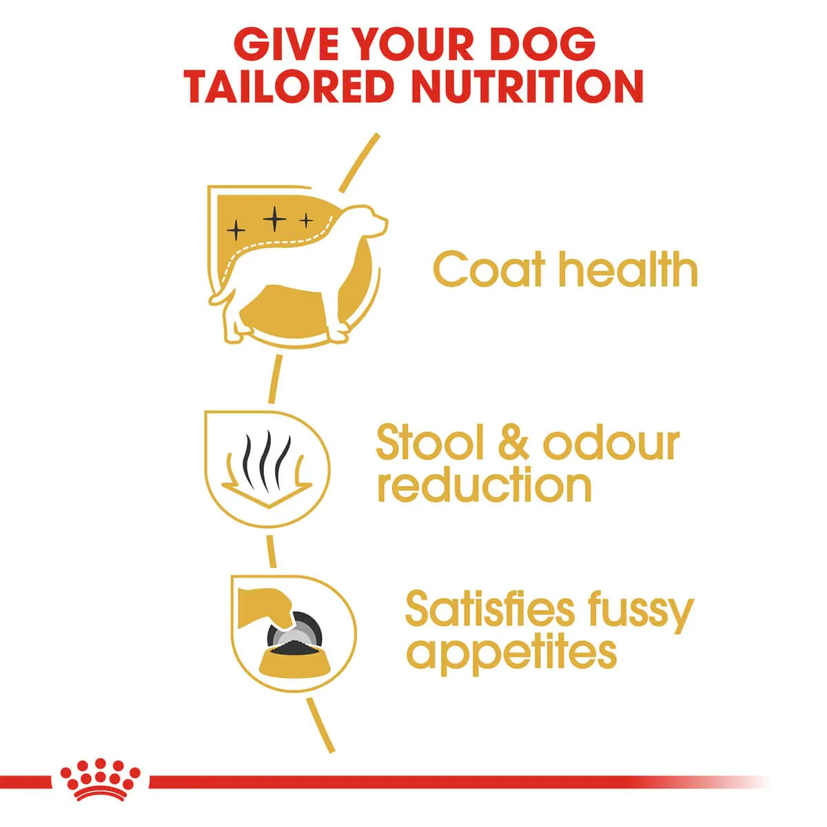 Royal Canin Maltese Adult Dry Dog Food - Image 4
