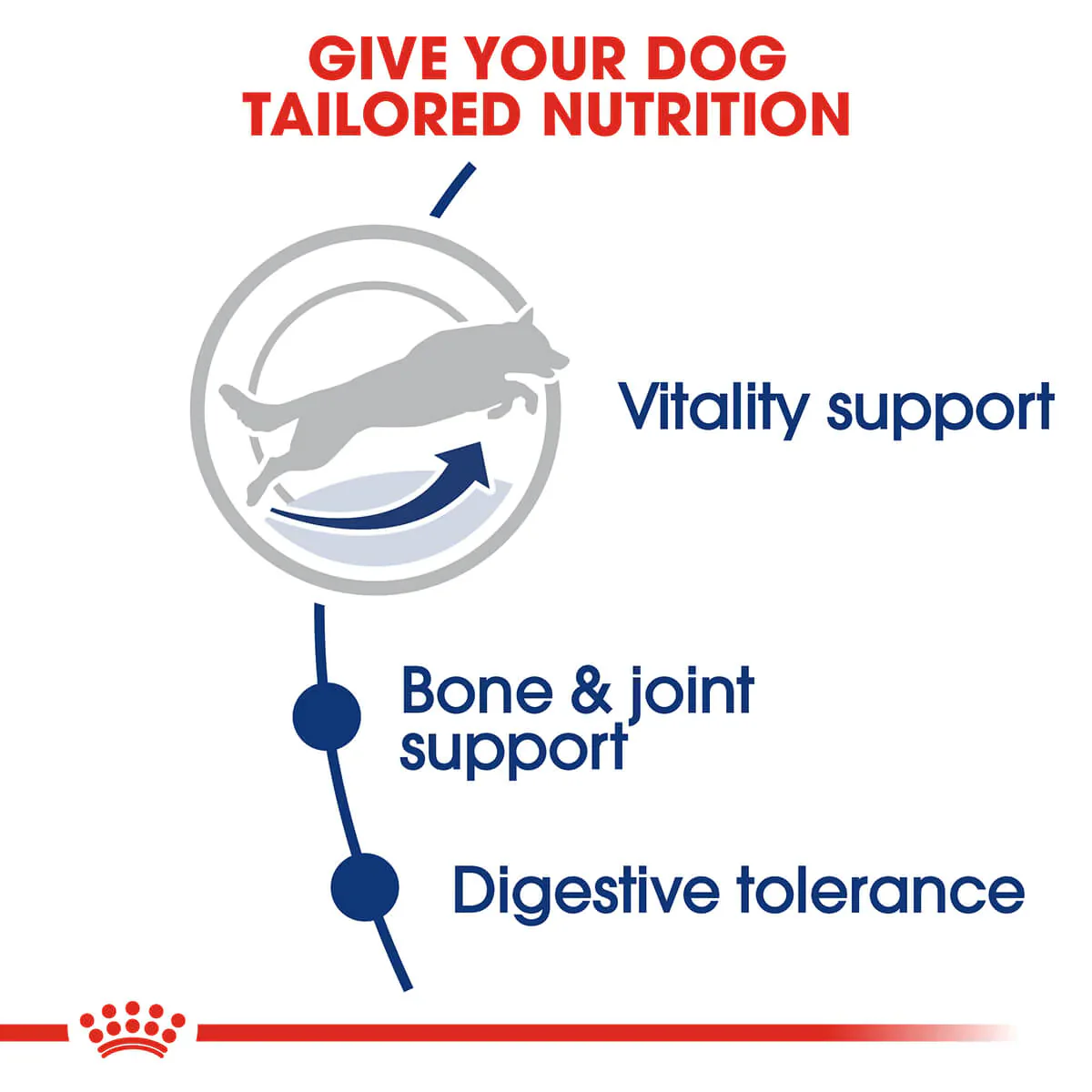 Royal Canin Maxi Adult 5 Plus Dry Dog Food - Image 4