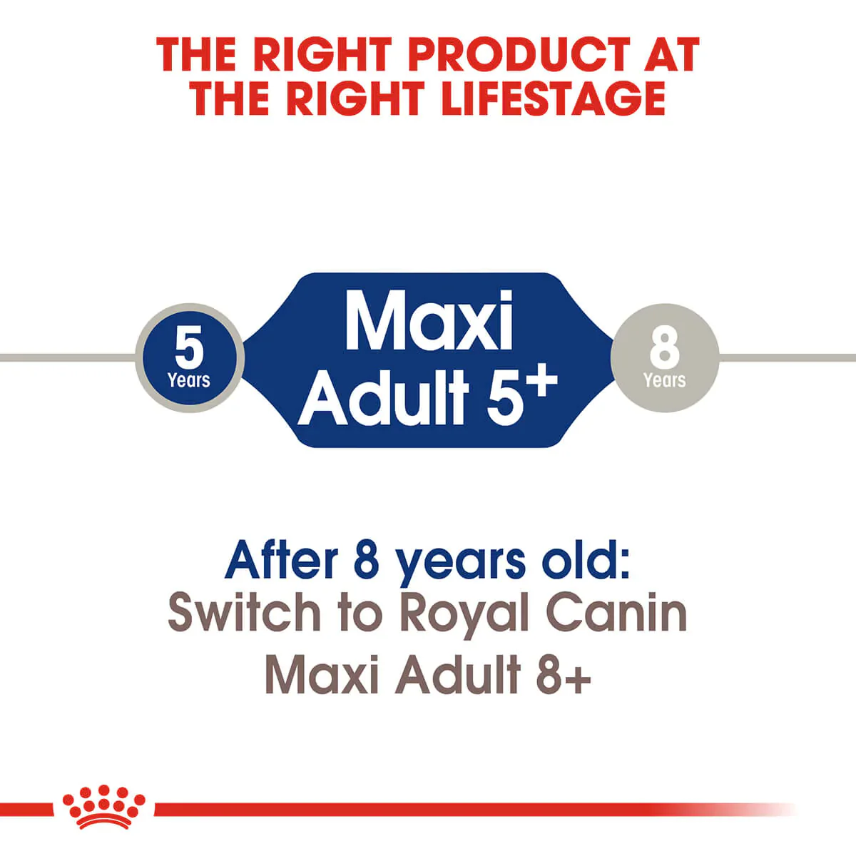 Royal Canin Maxi Adult 5 Plus Dry Dog Food - Image 5