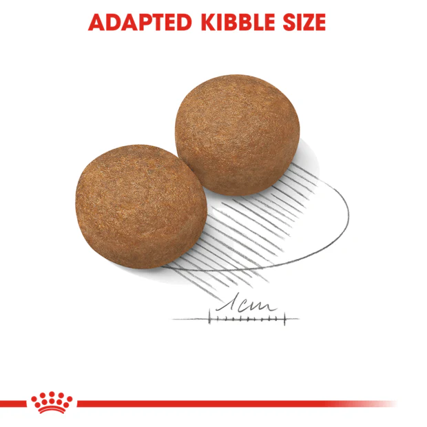 Royal Canin Maxi Adult Dry Dog Food - Image 3