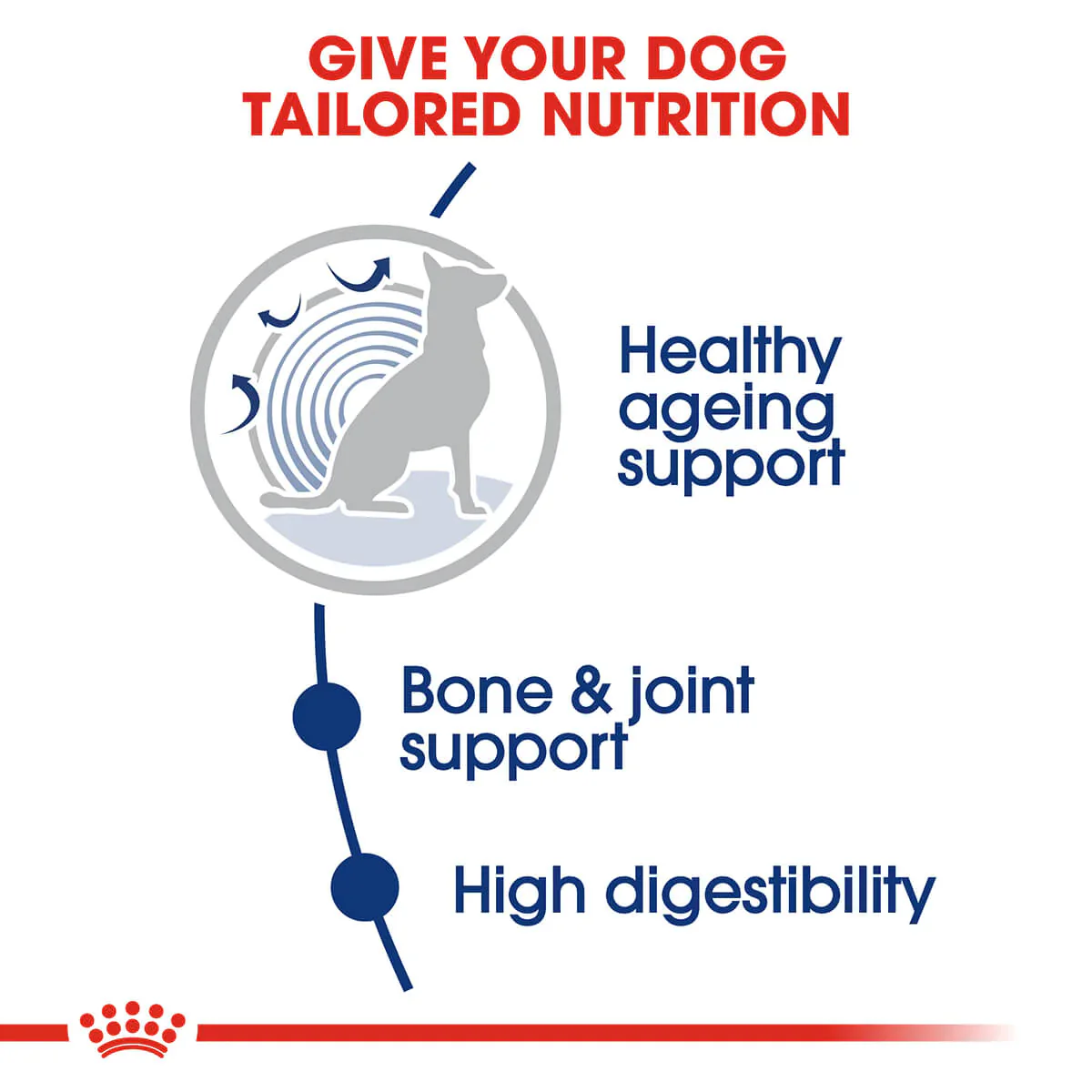 Royal Canin Maxi Ageing 8 Plus Senior Dry Dog Food - Image 4