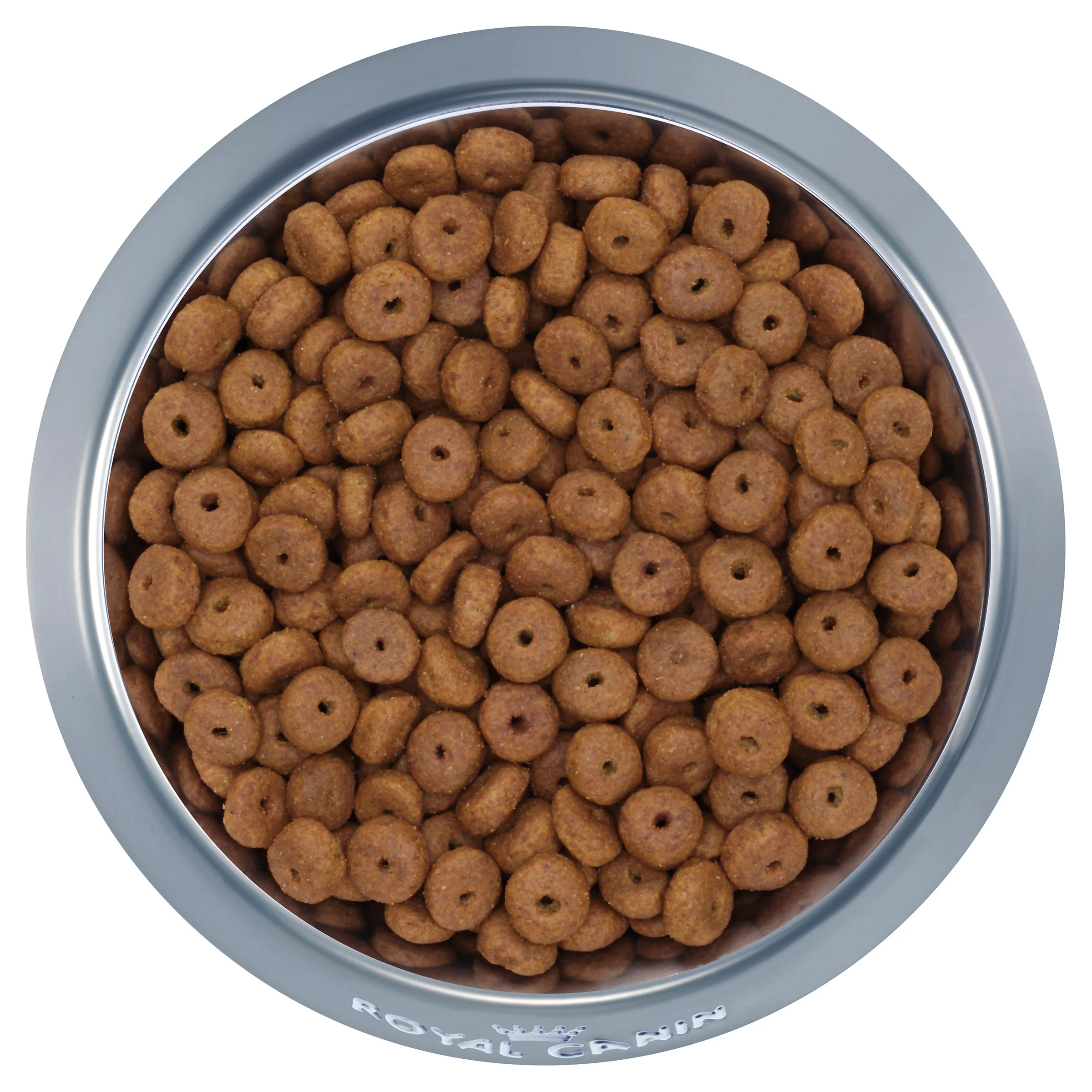 Royal Canin Maxi Ageing 8 Plus Senior Dry Dog Food - Image 9