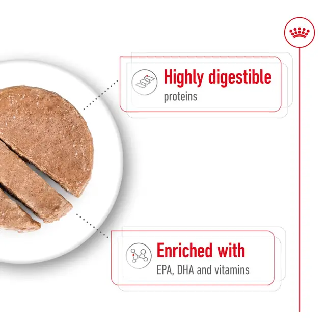 Royal Canin Maxi Ageing Wet Dog Food - Image 3