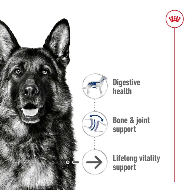 Royal Canin Maxi Ageing Wet Dog Food - Image 7