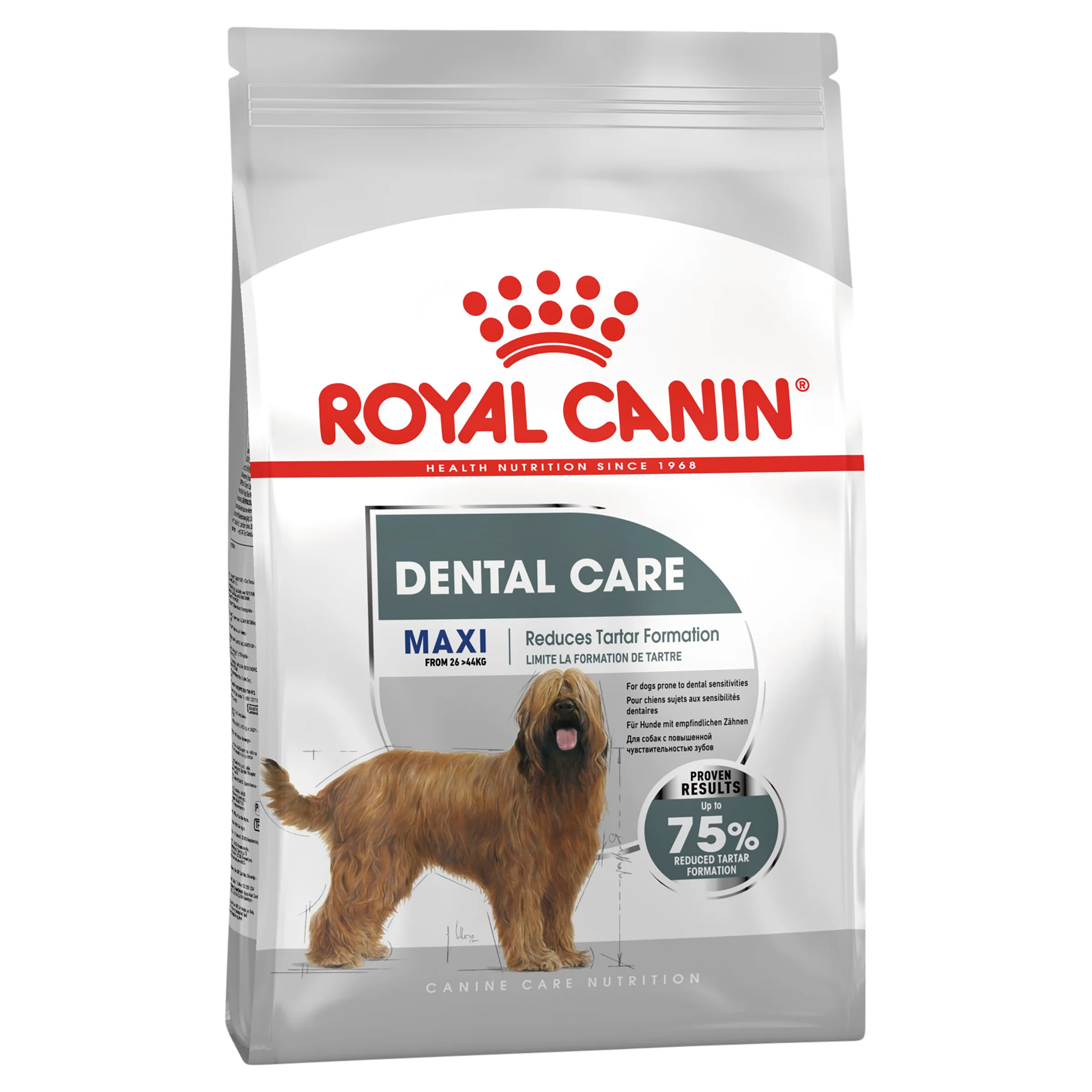 Royal Canin Maxi Dental Care Adult Dry Dog Food - Image 2