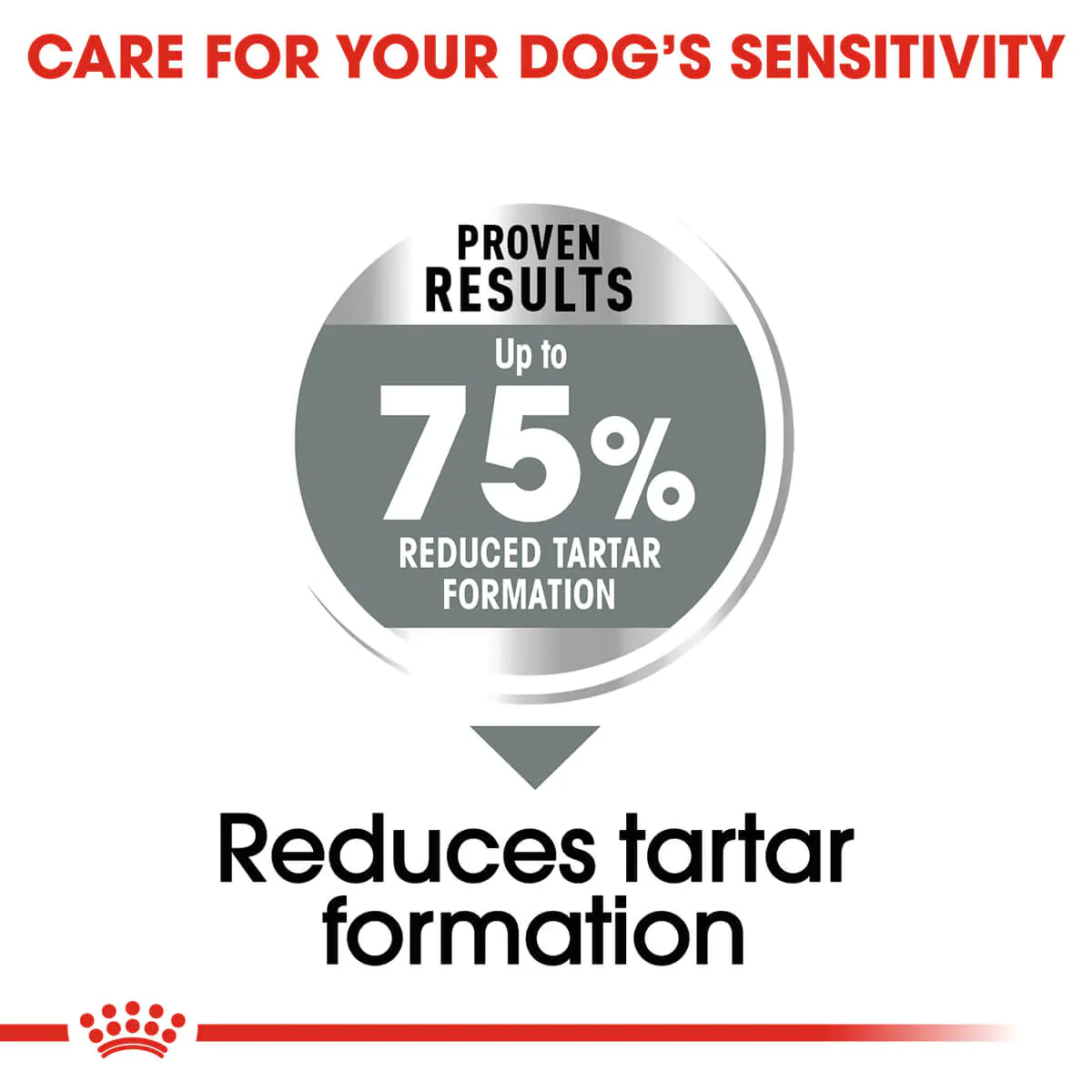 Royal Canin Maxi Dental Care Adult Dry Dog Food - Image 4