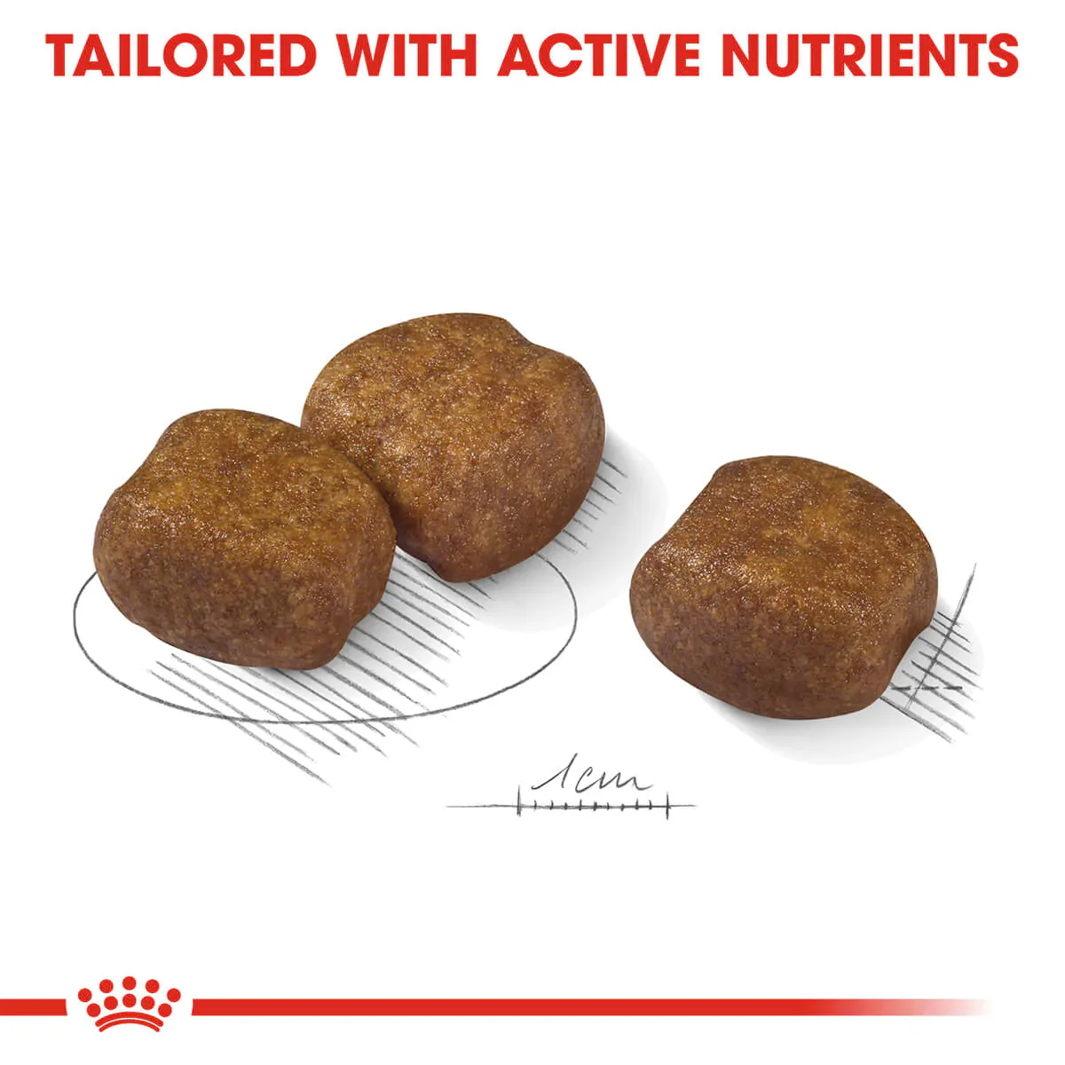 Royal Canin Maxi Dental Care Adult Dry Dog Food - Image 7