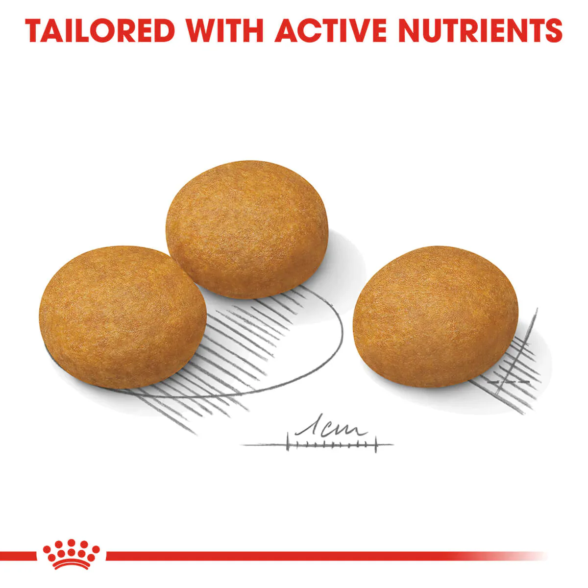 Royal Canin Maxi Dermacomfort Adult Dry Dog Food - Image 4