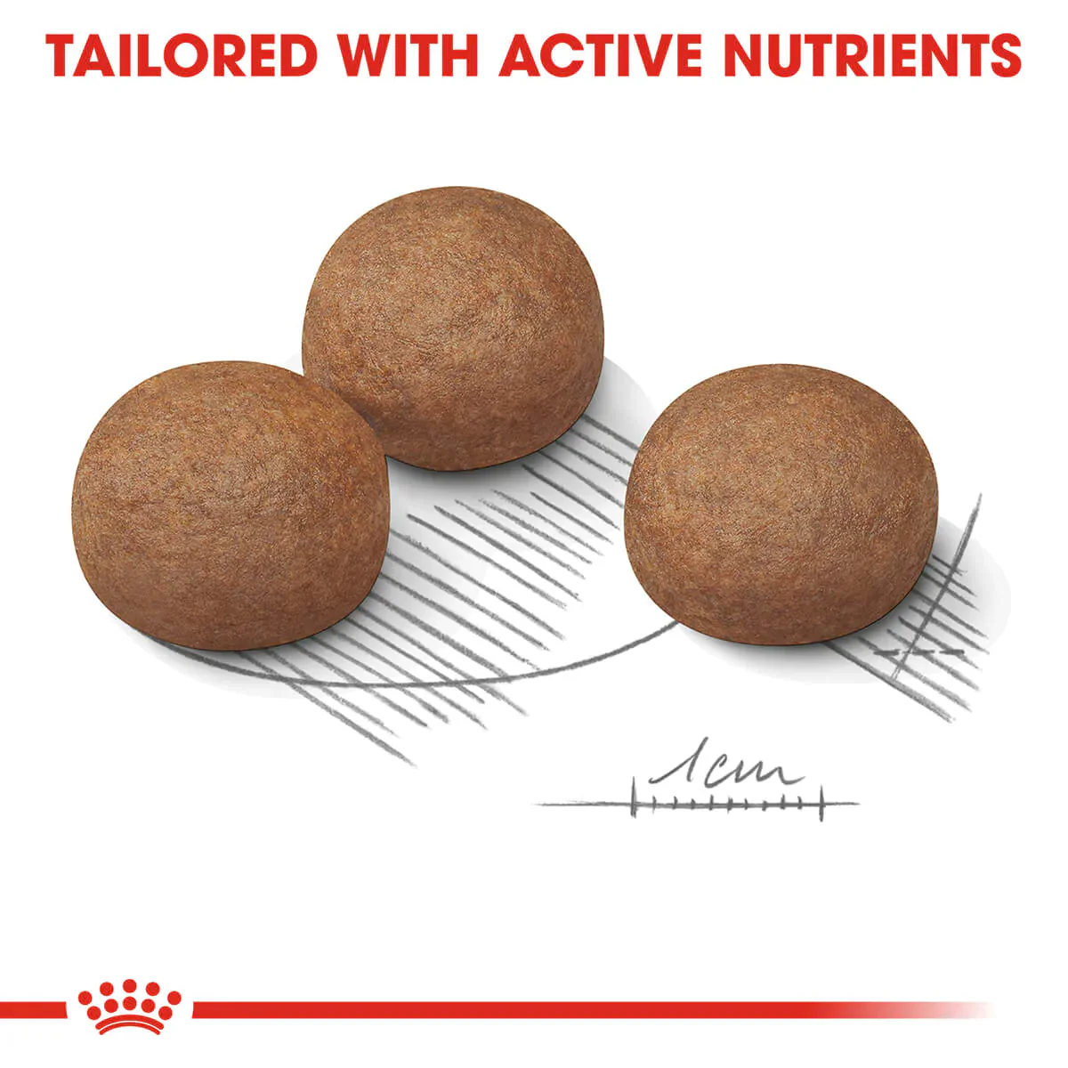 Royal Canin Maxi Digestive Care Adult Dry Dog Food - Image 6