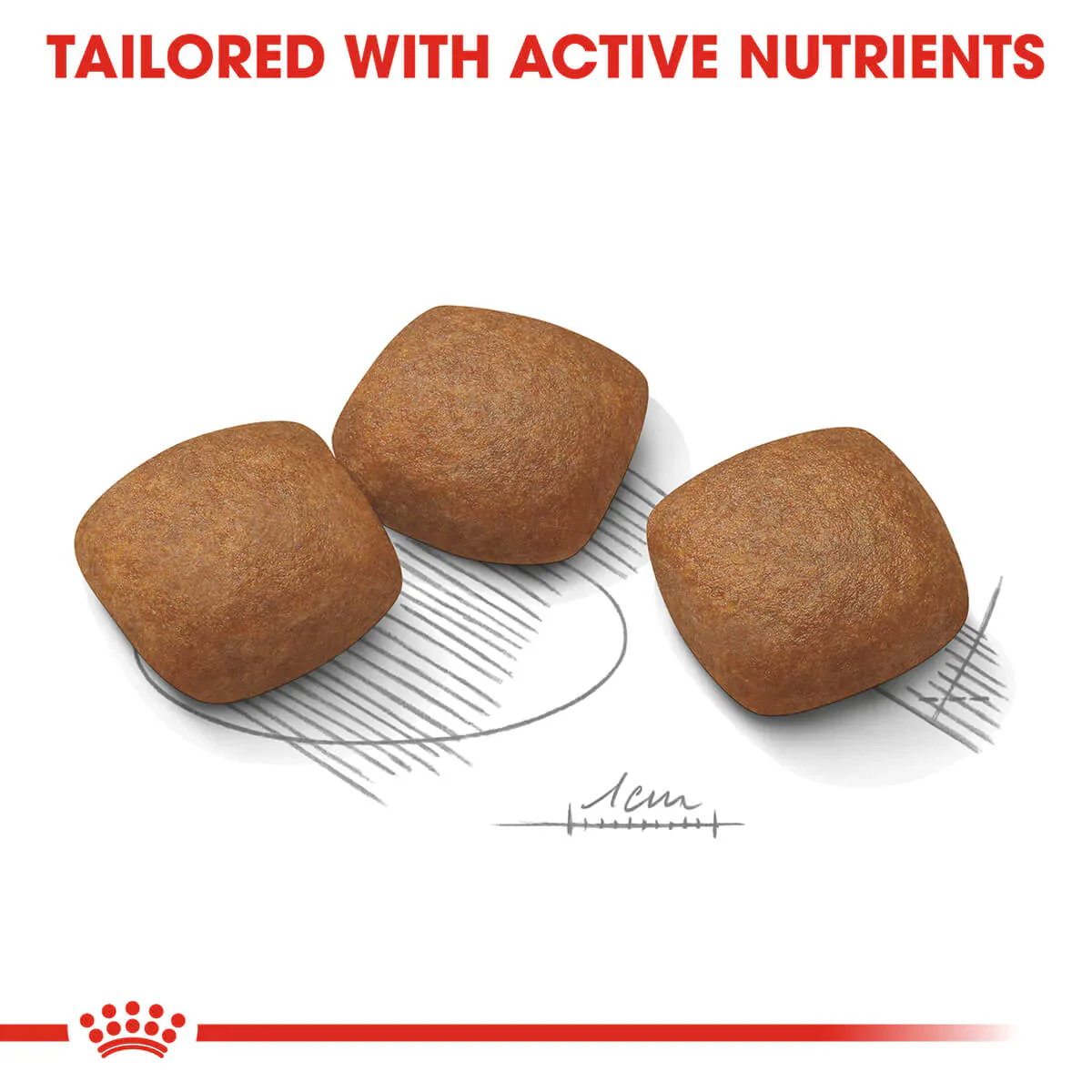 Royal Canin Maxi Joint Care Adult Dry Dog Food - Image 7