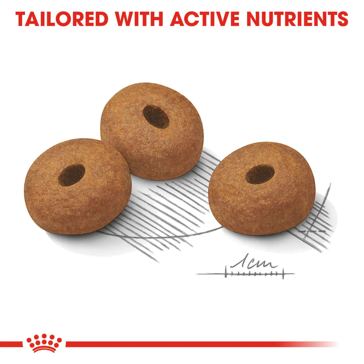 Royal Canin Maxi Light Weight Care Dry Dog Food - Image 3
