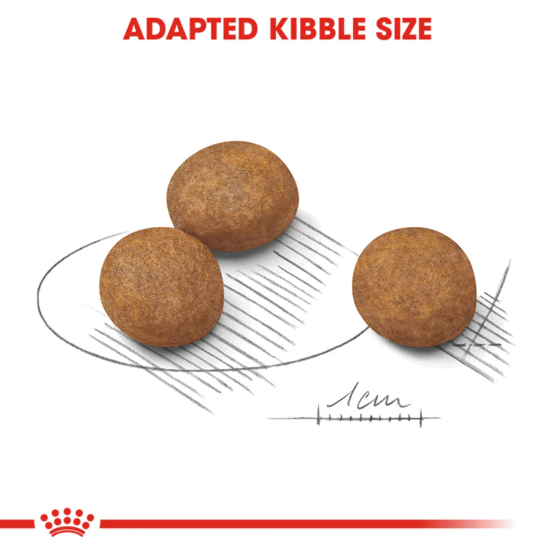 Royal Canin Maxi Puppy Dry Dog Food - Image 3