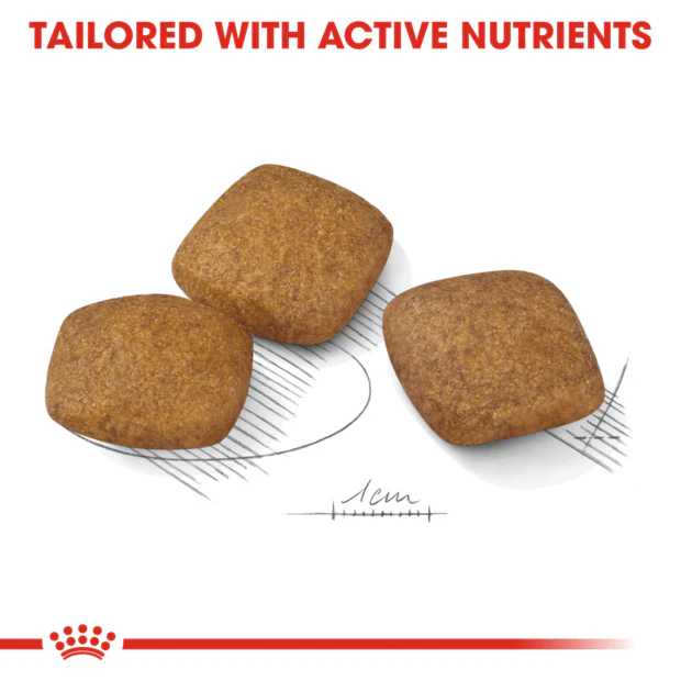 Royal Canin Maxi Relax Care Adult Dry Dog Food - Image 2